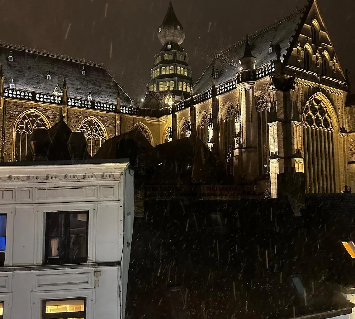 Charming Apartment With Cathedral View In Antwerp On The 2Th Floor