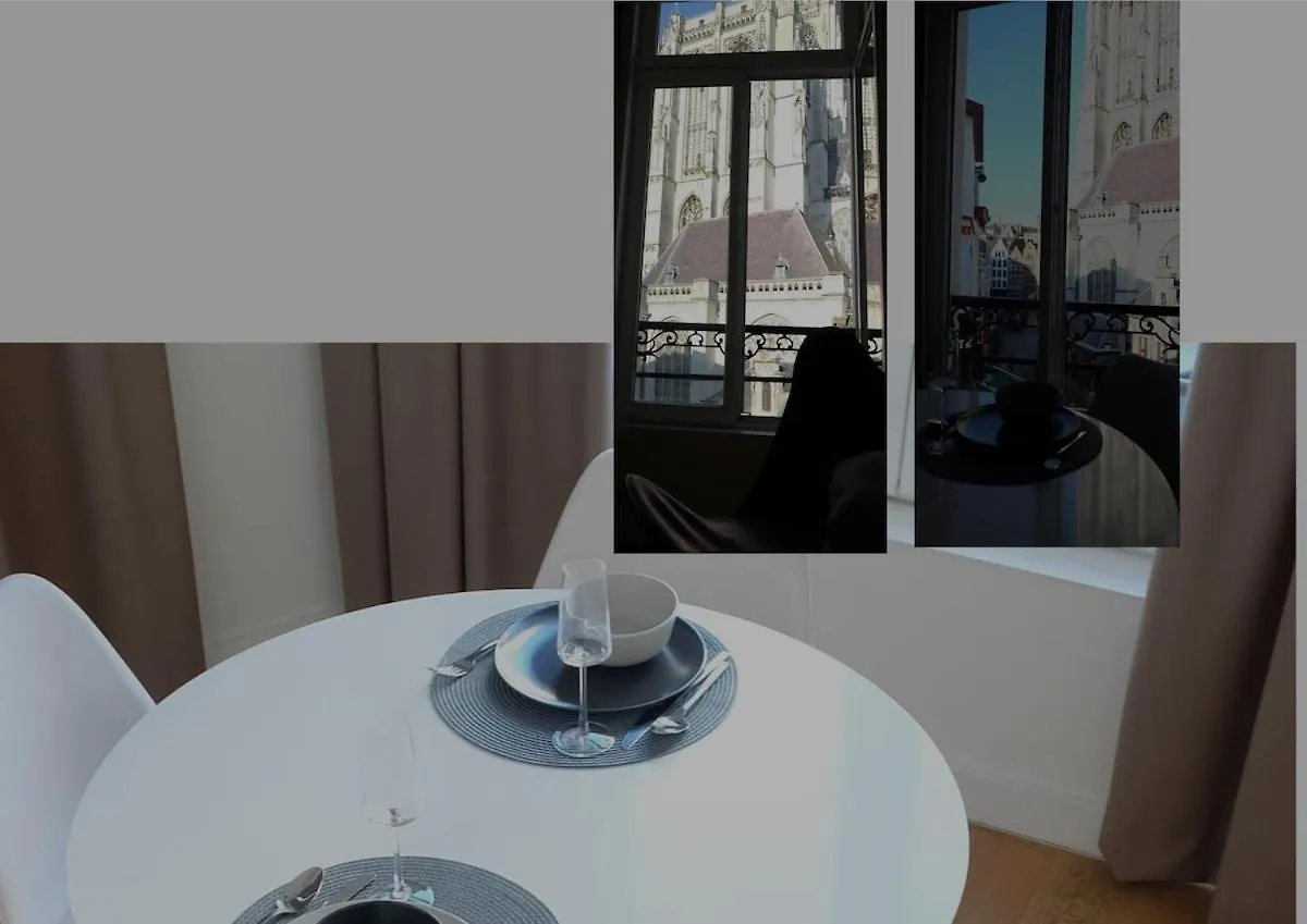 Charming Apartment With Cathedral View In Antwerp On The 2Th Floor